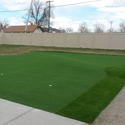 Fake Grass Los Gatos, California Putting Greens, Backyard Design