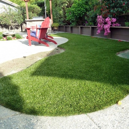 Fake Grass Saratoga, California Design Ideas, Backyard Ideas