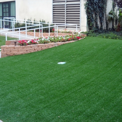 Fake Grass Vineyard, California Putting Green Carpet, Landscaping Ideas For Front Yard