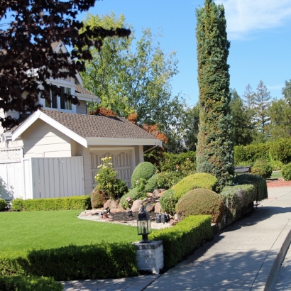 Fake Lawn La Honda, California Design Ideas, Front Yard Landscape Ideas
