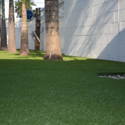 Fake Lawn Rutherford, California Landscape Design, Commercial Landscape