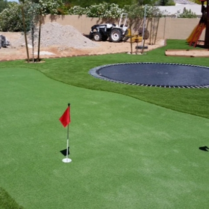 Fake Turf Davenport, California Outdoor Putting Green, Backyard Ideas