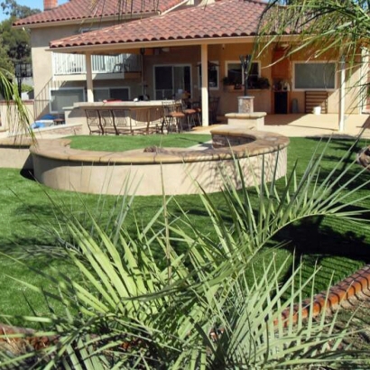 Fake Turf Diablo, California Landscape Design, Backyard Garden Ideas