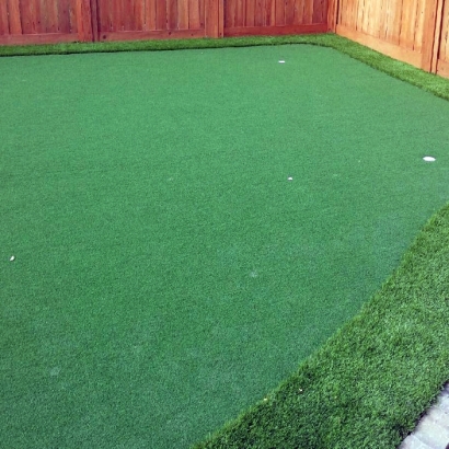 Fake Turf Florin, California How To Build A Putting Green, Backyard Ideas