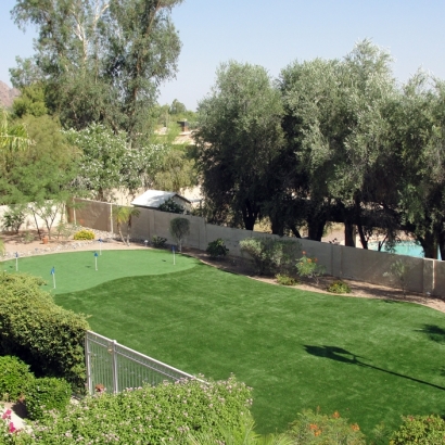 Faux Grass Dixon, California Indoor Putting Greens, Backyard