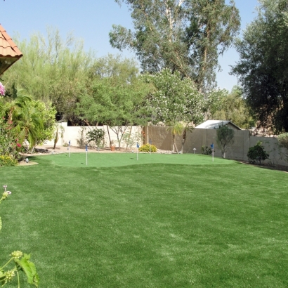Faux Grass Dixon, California Indoor Putting Greens, Backyard