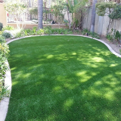 Grass Carpet Discovery Bay, California Landscape Ideas