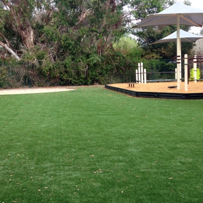 Grass Carpet El Cerrito, California Indoor Playground