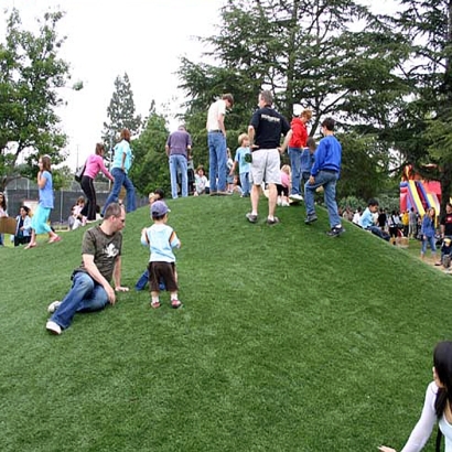 Grass Carpet El Granada, California Landscape Photos, Recreational Areas