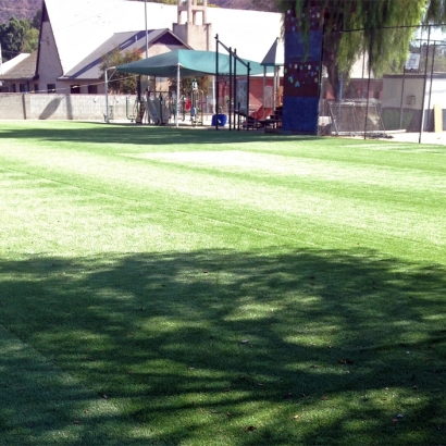 Grass Carpet Pasatiempo, California Stadium, Parks