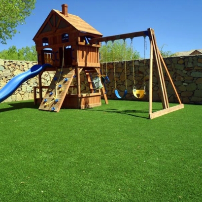 Grass Carpet Rosemont, California Landscape Design, Backyards