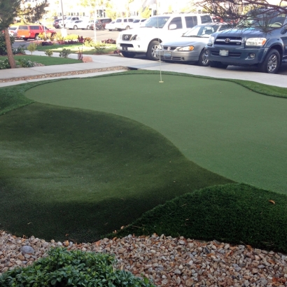 Grass Carpet Salmon Creek, California Putting Green Carpet, Commercial Landscape
