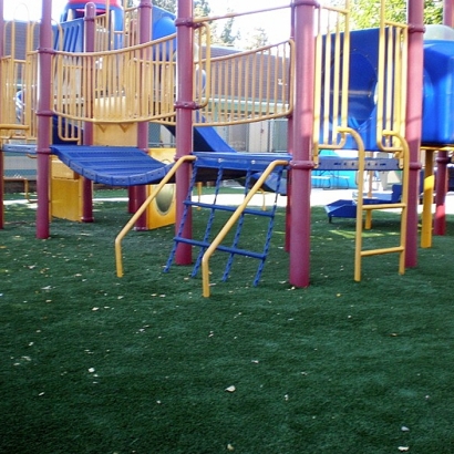 Grass Installation Muir Beach, California Kids Indoor Playground, Commercial Landscape