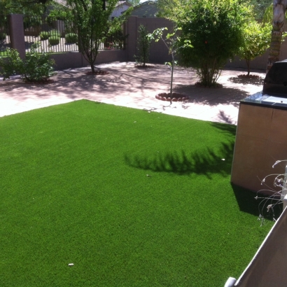 Grass Turf Alum Rock, California Backyard Deck Ideas, Beautiful Backyards