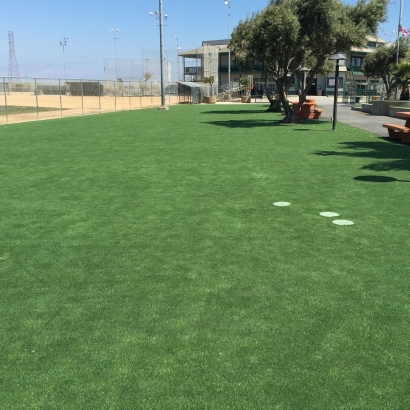 Grass Turf Tracy, California Landscape Photos, Recreational Areas