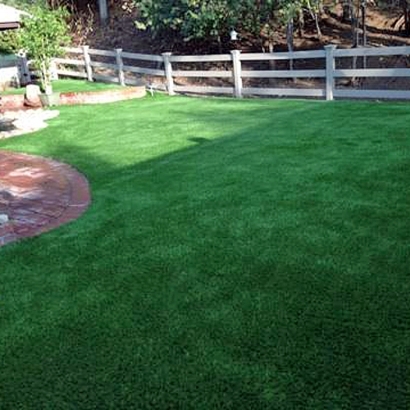 Grass Turf Wilton, California Cat Playground, Backyard Garden Ideas