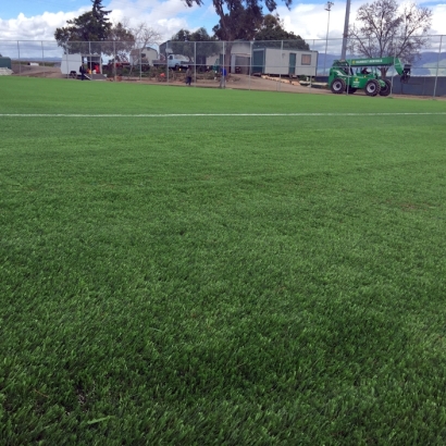Green Lawn Fremont, California Soccer Fields
