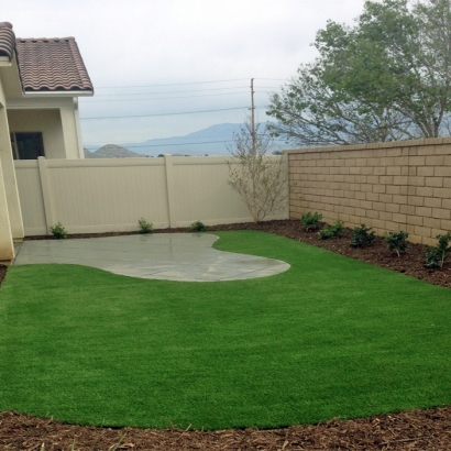 Green Lawn Sunnyvale, California Backyard Deck Ideas, Backyard Landscaping