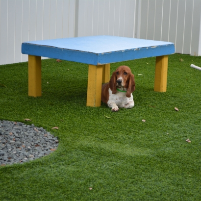 How To Install Artificial Grass Saint Helena, California Cat Playground, Dogs Park