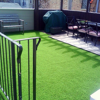 Installing Artificial Grass Bay Point, California Pet Paradise, Backyard Design