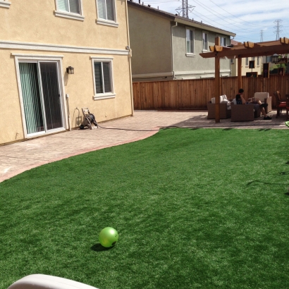 Lawn Services Allendale, California City Landscape, Backyard Landscaping