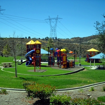 Lawn Services Dixon, California Playground, Recreational Areas