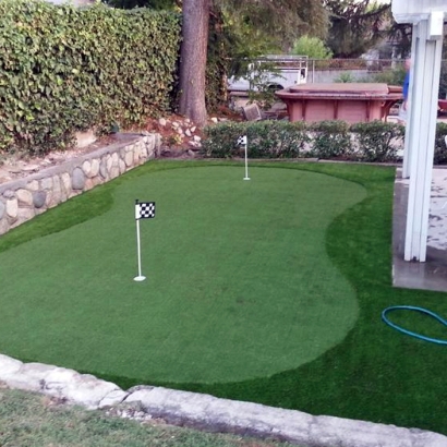 Lawn Services Fairfield, California City Landscape, Backyard Design