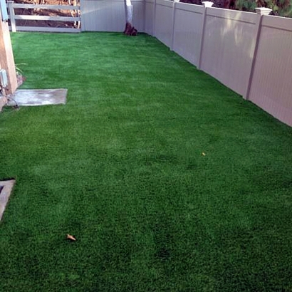 Lawn Services San Bruno, California Dog Run, Backyard Garden Ideas