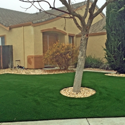Outdoor Carpet Burbank, California Lawn And Landscape, Front Yard Landscape Ideas
