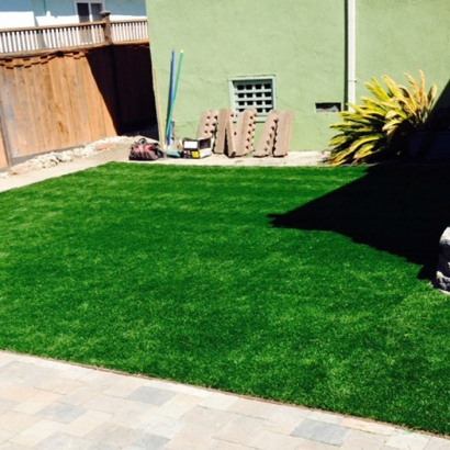 Outdoor Carpet Corte Madera, California Landscape Photos, Backyard Landscaping