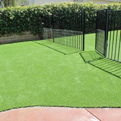 Outdoor Carpet Pacheco, California Pet Paradise, Front Yard Design