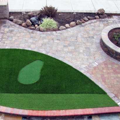 Outdoor Carpet Stockton, California Golf Green, Front Yard