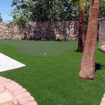 Plastic Grass Bystrom, California How To Build A Putting Green, Backyard Makeover