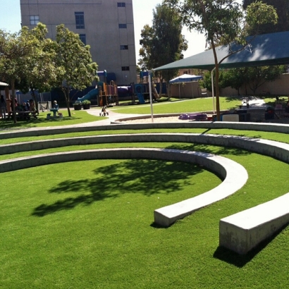 Plastic Grass Hercules, California Gardeners, Commercial Landscape