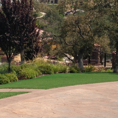 Plastic Grass Livermore, California Gardeners, Backyard Landscaping Ideas