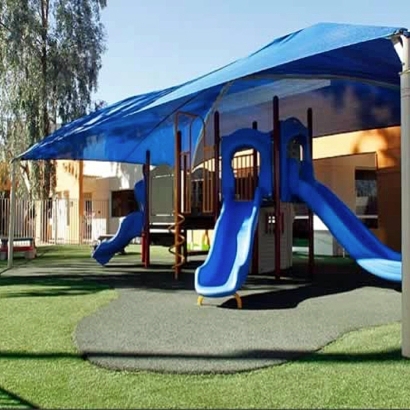 Synthetic Grass Burlingame, California Kids Indoor Playground, Commercial Landscape