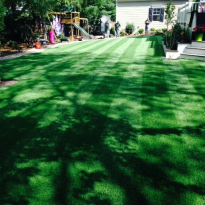 Synthetic Grass Cost Fulton, California Design Ideas, Backyard Makeover