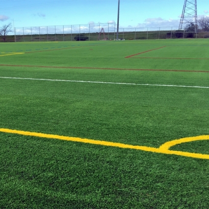 Synthetic Grass Cost Point Reyes Station, California Sports Athority