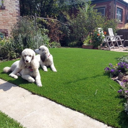 Synthetic Grass Cost Roseland, California Pet Grass, Grass for Dogs