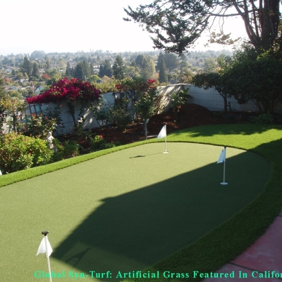 Synthetic Grass Cost South San Francisco, California Putting Green Grass, Backyards