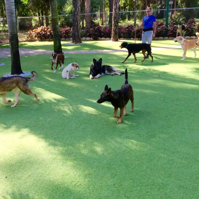 Synthetic Grass Felton, California Drainage, Dog Kennels