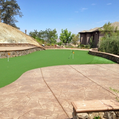 Synthetic Grass Fetters Hot Springs-Agua Caliente, California Putting Green Turf, Backyard Landscape Ideas