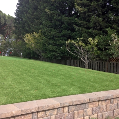 Synthetic Grass Penngrove, California Design Ideas, Backyard Ideas