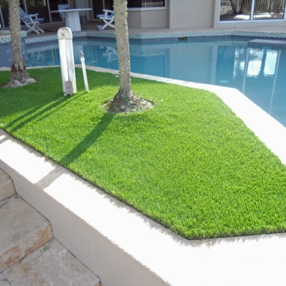 Synthetic Grass Pinole, California Home And Garden, Kids Swimming Pools