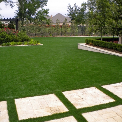 Synthetic Lawn Bayview, California Landscape Design, Backyard Landscape Ideas