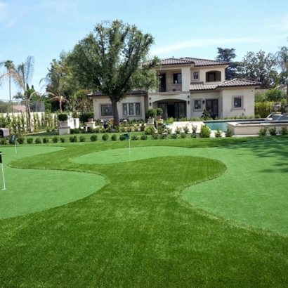 Synthetic Lawn Lockeford, California Backyard Deck Ideas, Front Yard Design