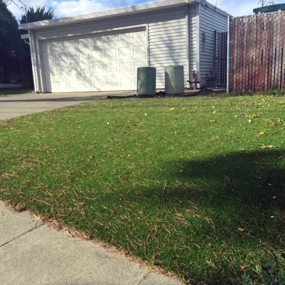 Synthetic Lawn Stanford, California Home And Garden, Front Yard Landscaping Ideas
