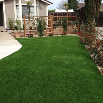 Synthetic Turf East Foothills, California Backyard Playground, Front Yard