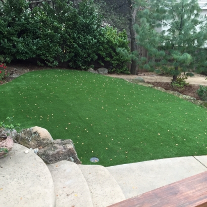 Synthetic Turf Suisun, California Landscape Rock, Backyard Designs