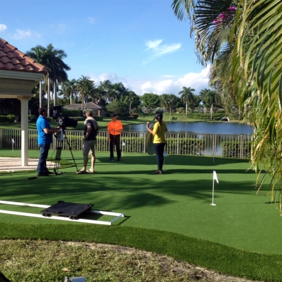 Synthetic Turf Supplier Burlingame, California Indoor Putting Greens, Small Backyard Ideas